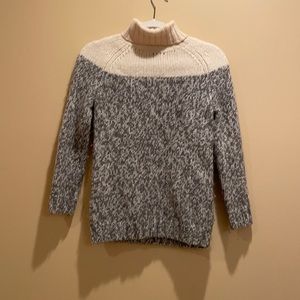 J. Crew Turtleneck Sweater